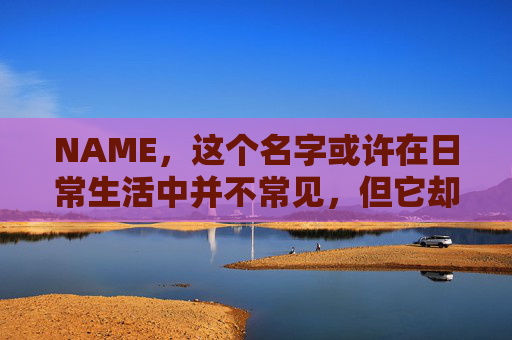 NAME，这个名字或许在日常生活中并不常见，但它却在某些领域里扮演着重要的角色。今天，让我们一起来探索这个名字背后的故事和意义